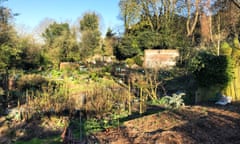 ‘April is a month of garden patience’: spring at the allotments.