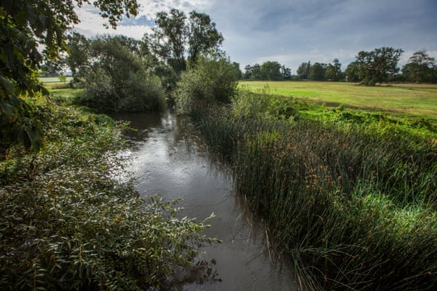 Река Блэкуотер в Беркшире протекает среди зеленого сельского пейзажа.