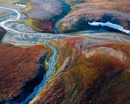 Jameson Land tundra, Greenland.