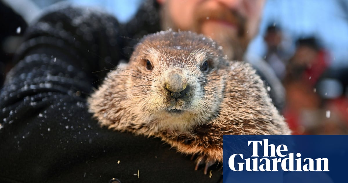 Canadian groundhog Fred la Marmotte found dead before planned