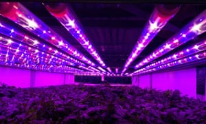 verfarm3