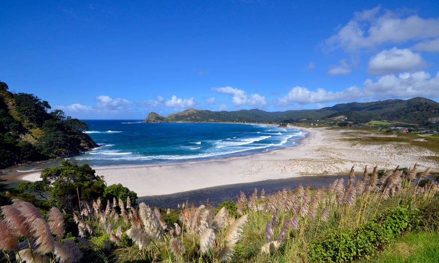 Surf and sand dunes at Medlands Beach, Great Barrier Island.