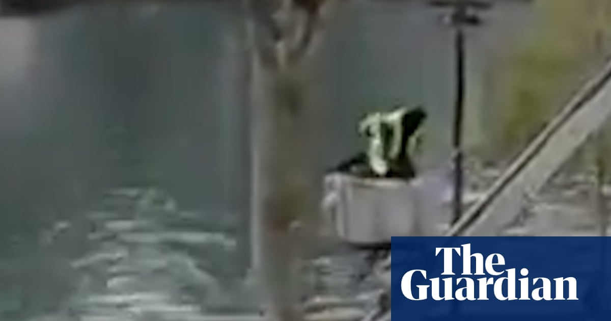 Louvre thieves’ slow-motion getaway using furniture lift was caught on video