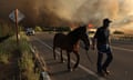 A resident evacuates his horse as the Corral fire bears down on ranches west of Tracy, California last week.