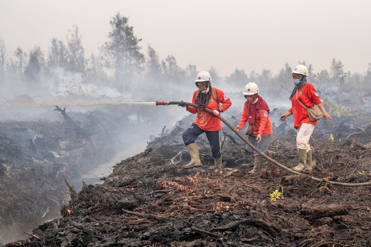 Wildfire smoke from Indonesia during the 2026 haze crisis