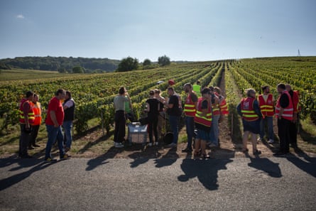 A meeting of workers and trade unionists at the edge of a field of vines.