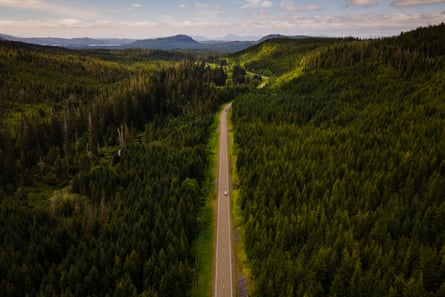 Aerial image of long dirt road between two dense swathes of trees