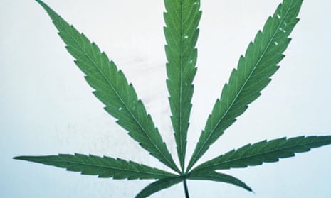 Police found a cannabis plantation taking up three floors of a five-storey disused hotel.