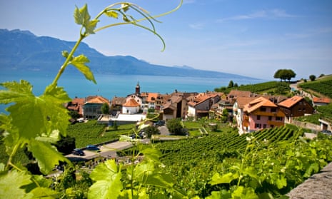 St Saphorin vineyard in Lavaux valley, Switzerland.