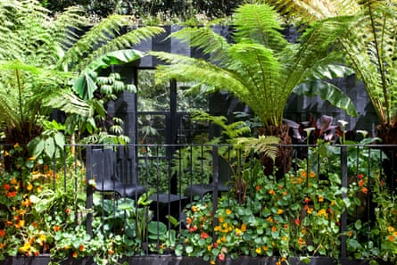 Mike McMahon & Jewlsy Mathews’s Junglette garden for law firm Addleshaw Goddard.