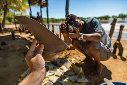 A man takes a photograph of a shark fin