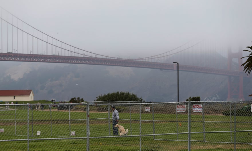 A dog defecates at Crissy Field, the site of the now-cancelled rally.