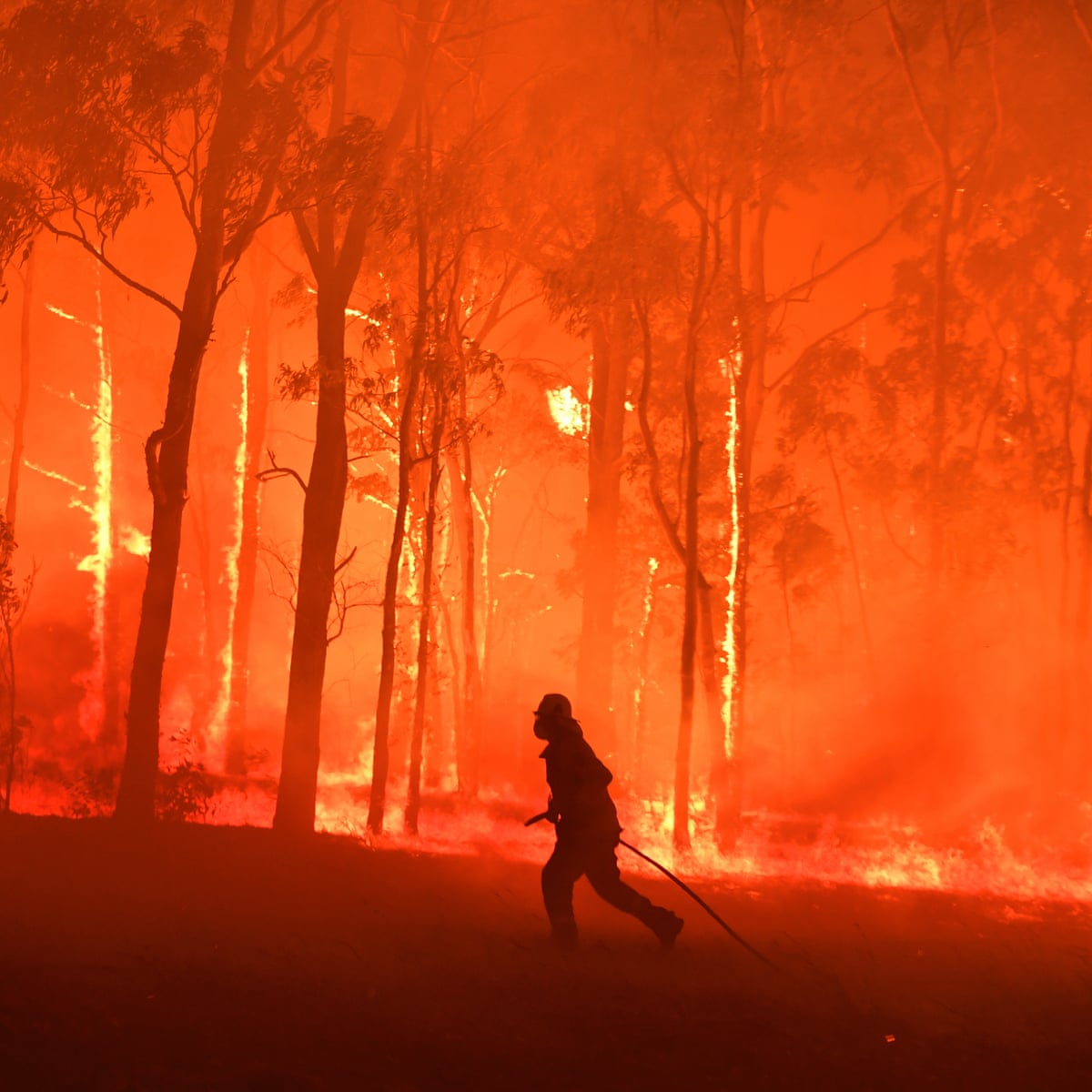 Bushfire Management Plan