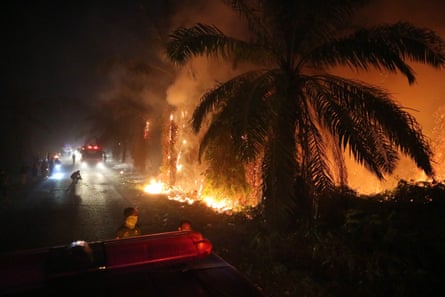 Fire trucks parked near a wildfire burning through a peatland field