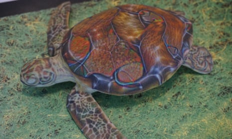 Is it a turtle? Sure – unless you’re Google’s AI.