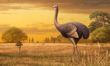 An artist’s impression of a giant bird whose bones were found in a Crimean cave