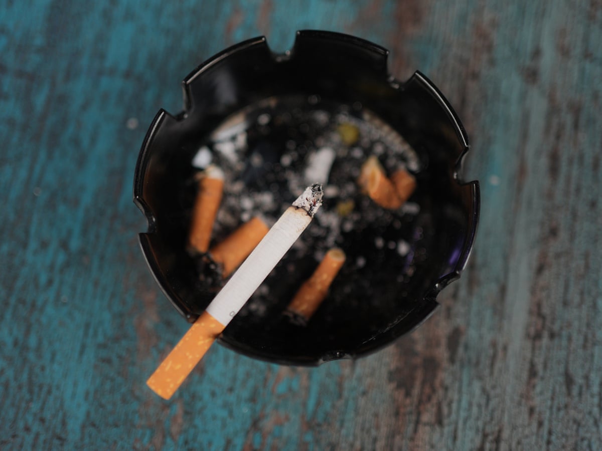 is the tobacco industry dying Tobacco exposure killed more than 7m people in 2023, study finds | Smoking is the tobacco industry dying Tobacco exposure killed more than 7m people in 2023, study finds | Smoking