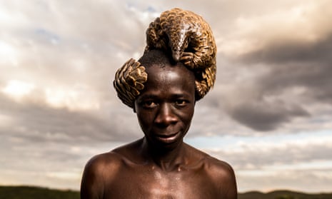 A man in Zimbabwe poses with a pangolin under his care at the The Tikki Hywood Trust. Today, the pangolin, which comprises eight species, is the world’s most trafficked animal. 