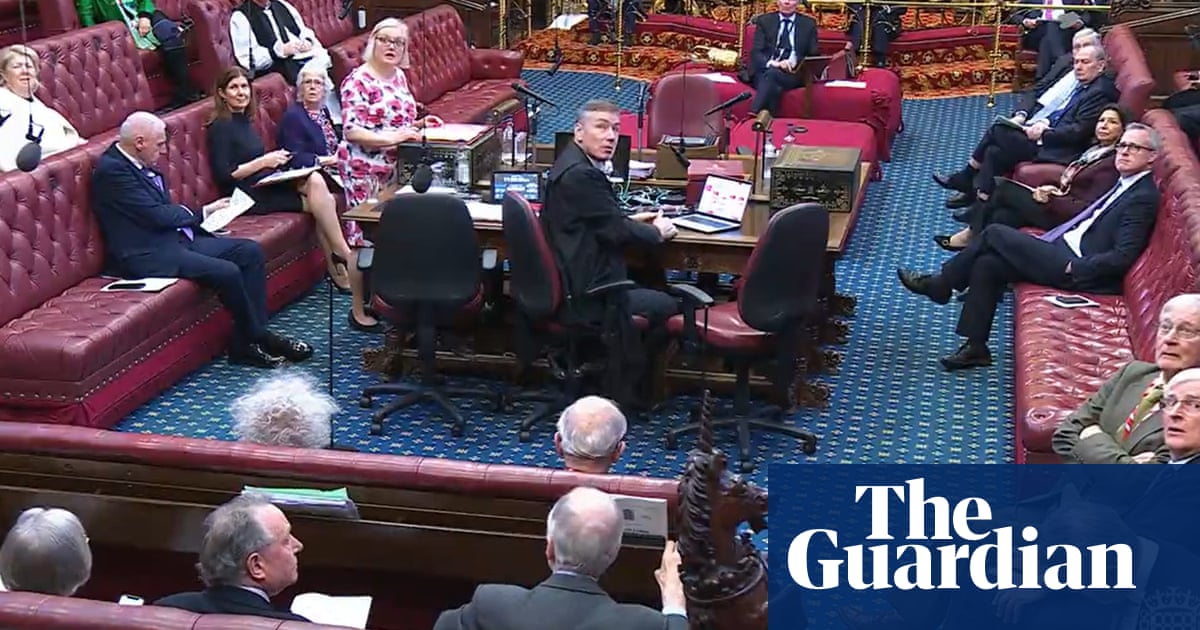 ‘Lords out, people in’: protesters interrupt proceedings in House of Lords