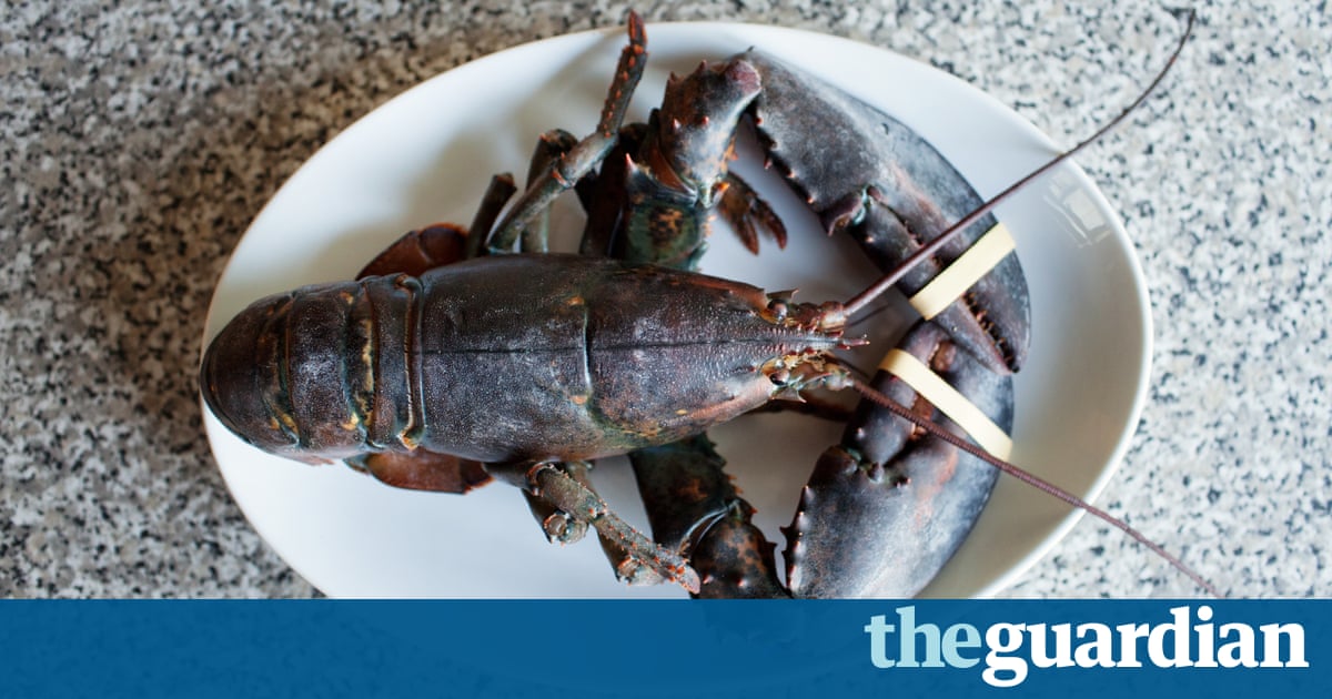 Switzerland rules lobsters must be stunned before boiling