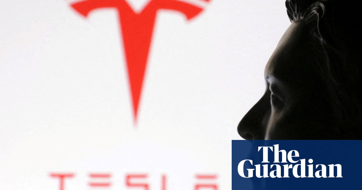 Tesla wins council approval for new factory in South Australia despite vocal anti-Musk sentiment