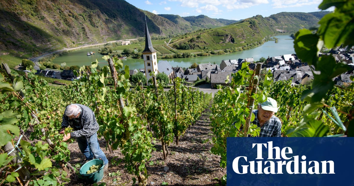 Here comes summer: reasons to love riesling