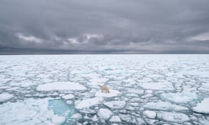 Sea ice