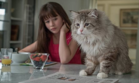 Nine Lives Review Kevin Spacey Can T Claw His Way Out Of This