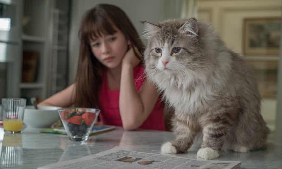 Nine Lives Review Kevin Spacey Can T Claw His Way Out Of This Feline Disaster Nine Lives The Guardian Nine Lives Review Kevin Spacey Can T Claw His Way Out Of This Feline Disaster Nine Lives The Guardian