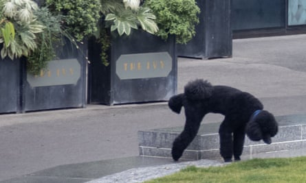 ‘Practically a perfect Venn diagram of an ideal winner’