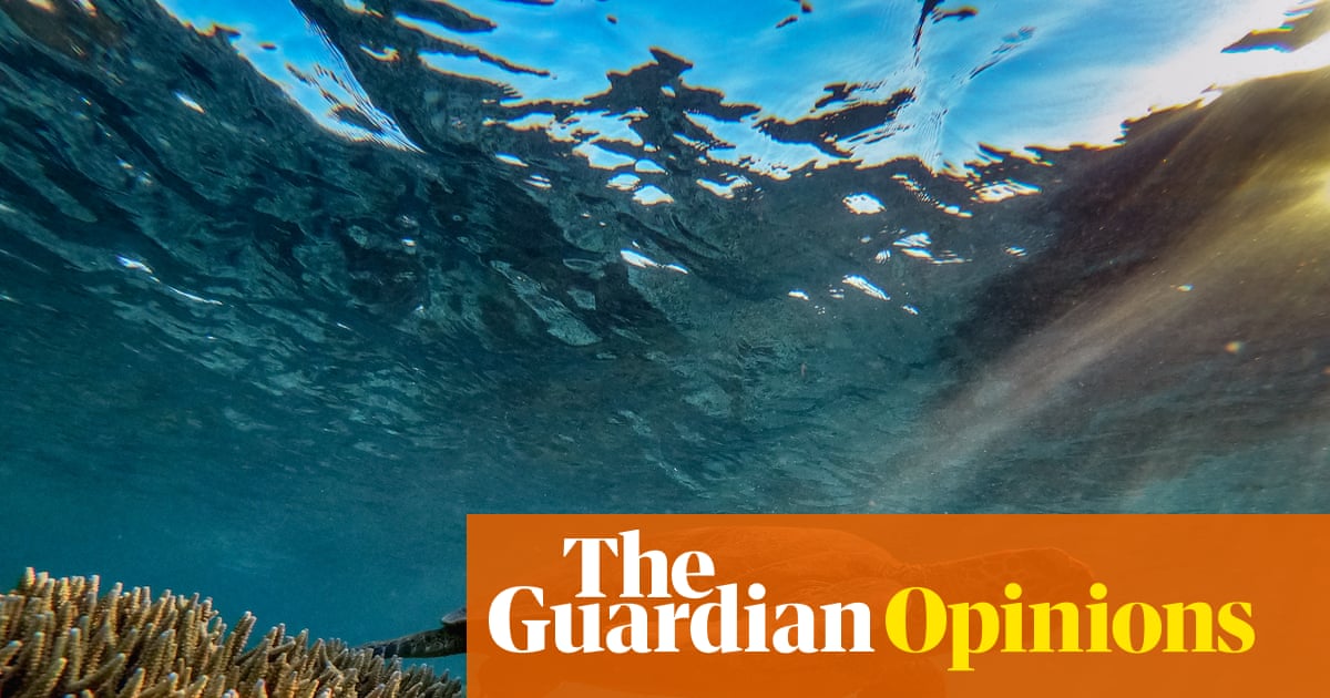 The rewriting of Australia's nature laws comes as a relief, yet I can't help feel a sense of foreboding | Georgina Woods