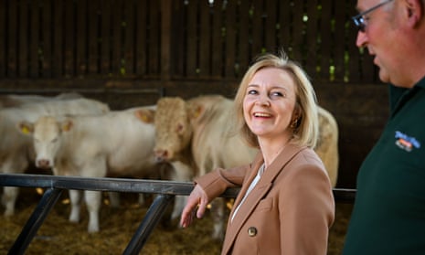 Liz Truss and cows