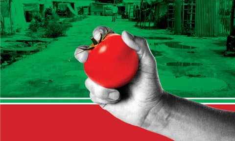 hand holding tomato over image of migrant camp