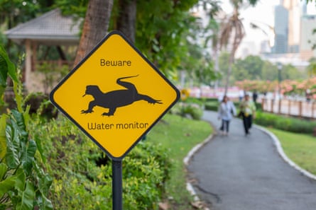 A yellow sign with a picture of a lizard reads ‘Beware water monitor’, beside a path in a park
