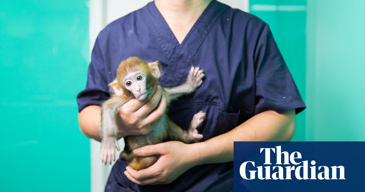Exotic pet owners of Beijing – in pictures | Environment | The Guardian