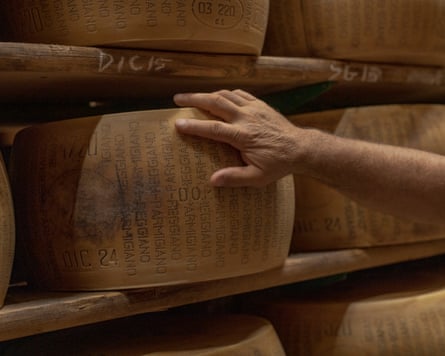 A wheels of Parmigiano Reggiano.