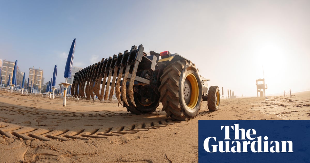 Sand groomers v turtles: how wildlife is falling foul of the demand for Insta-perfect beaches