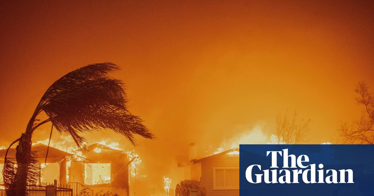 Wildfires devastating richer areas but fewer hectares burned globally – study