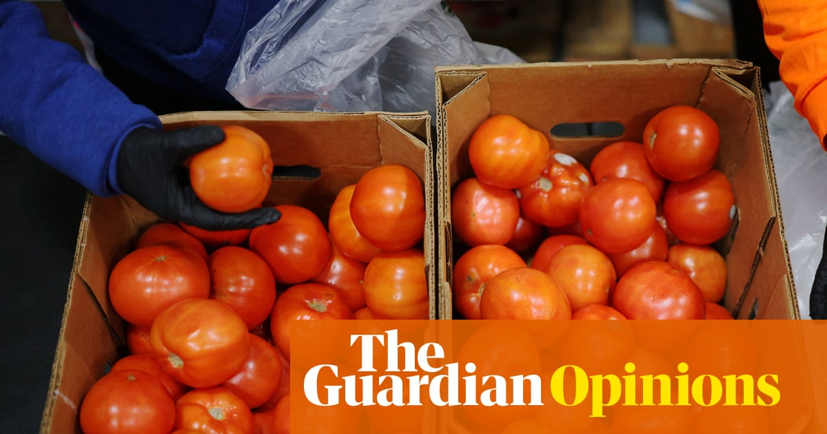 Trump is using the shutdown to make life tougher for millions of workers | Steven Greenhouse