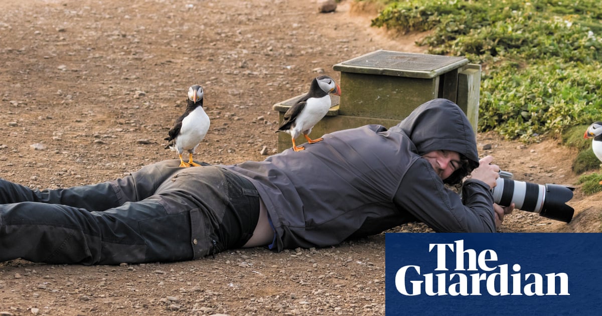 puffins-around-the-british-isles-in-pictures
