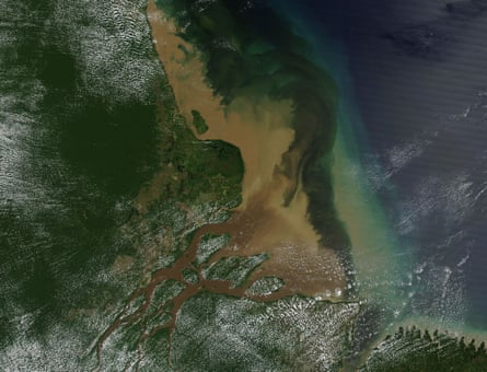 The Amazon River Delta