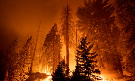 The Windy Fire in Sequoia National Park, US. Boris Johnson said it’s time to listen to the warning of scientists over climate change.