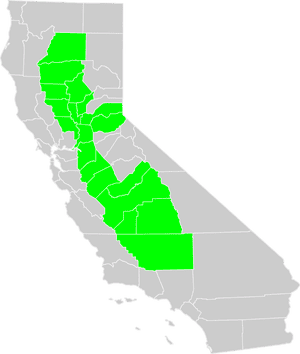 Everyone Tested Positive Covid Devastates Agriculture Workers In California S Heartland Us News The Guardian