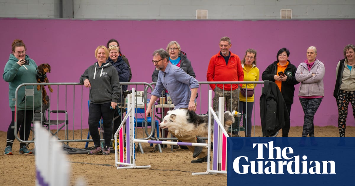 At the lowest point, I lose the dog altogether': my disastrous debut at a dog agility competition