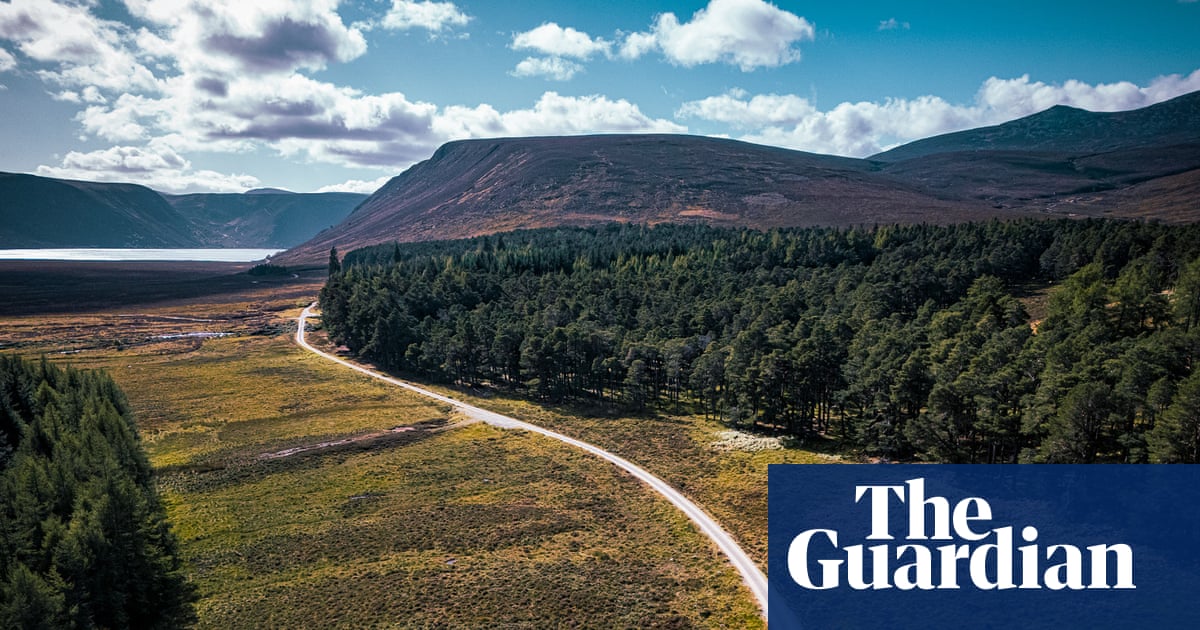 ‘It’s hard to imagine the fires of July’: a bike ride through the Cairngorms in Scotland | Travel ‘It’s hard to imagine the fires of July’: a bike ride through the Cairngorms in Scotland | Travel