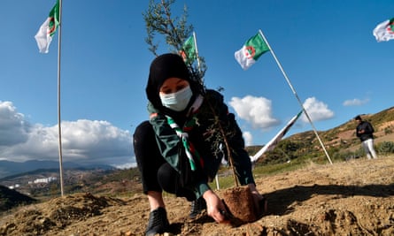 Algerian scouts take part in a countrywide tree-planting campaign in the Tipaza region
