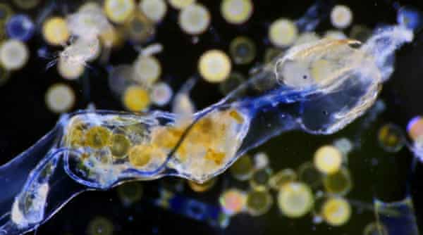 Plastic Fibres Found In Tap Water Around The World Study Reveals