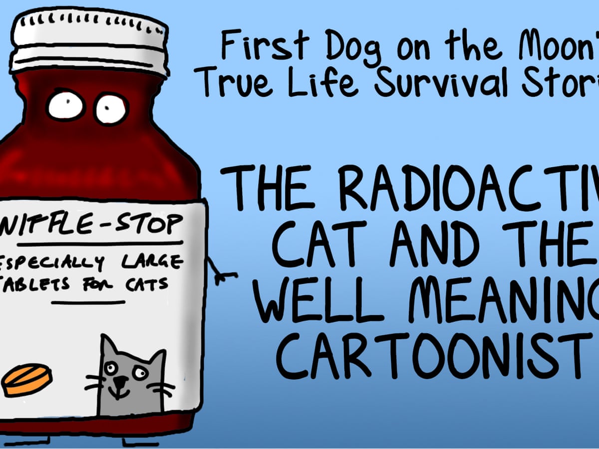 How I Survived Living With A Cat Stuffed With Uranium First Dog