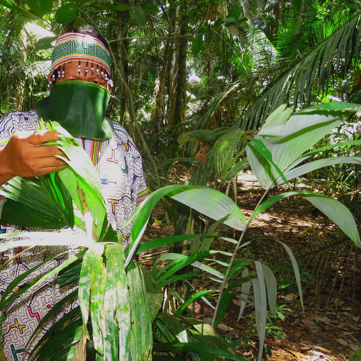 Alarm As Covid 19 Reaches Recently Contacted Amazon Tribe Global Development The Guardian