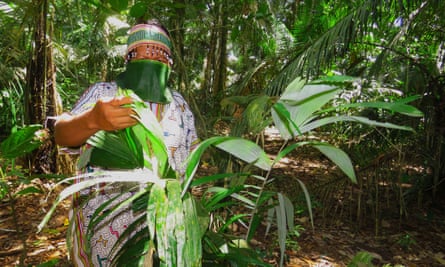 Alarm As Covid 19 Reaches Recently Contacted Amazon Tribe Global Development The Guardian
